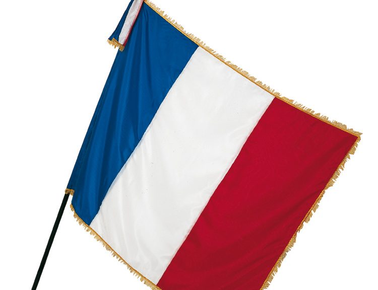 Le drapeau tricolore a fait le tour du monde” : histoire du drapeau de la  France - Le Taurillon